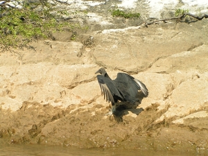 PICT0158