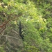 PICT0172