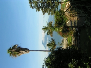 PICT0211