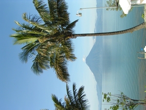 PICT0213