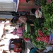 PICT0243