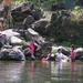 PICT0258