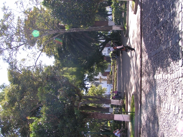 PICT0294
