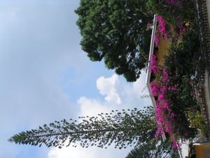 PICT0320
