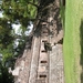 PICT0339