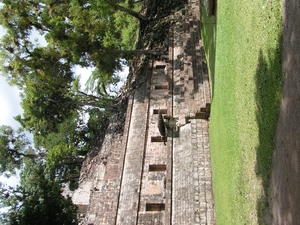 PICT0339