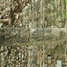 PICT0342