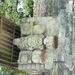 PICT0346