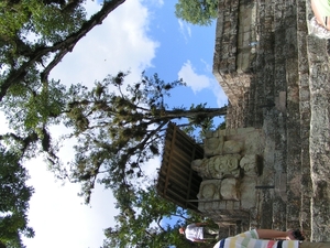PICT0347
