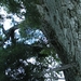 PICT0349