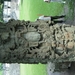 PICT0350