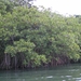 PICT0364