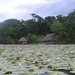 PICT0375