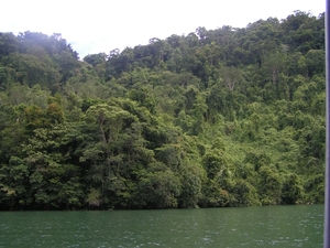 PICT0377