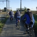 Brabantse kouters Asse 2009 038