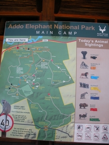 Addo Elephant NP