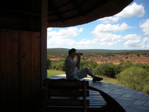 Addo Elephant NP