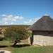 Addo Elephant NP