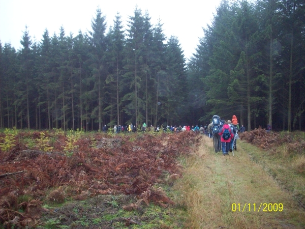 Eerste wandeling rond de camping Herfst 2009