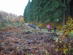 Maissin-Lesse-Herfst