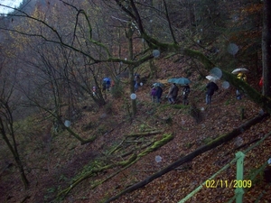 Verbrande bos Herfst2009 (1)