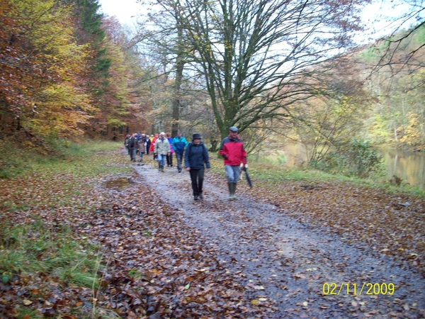 Verbrande bos Herfst2009 (2)