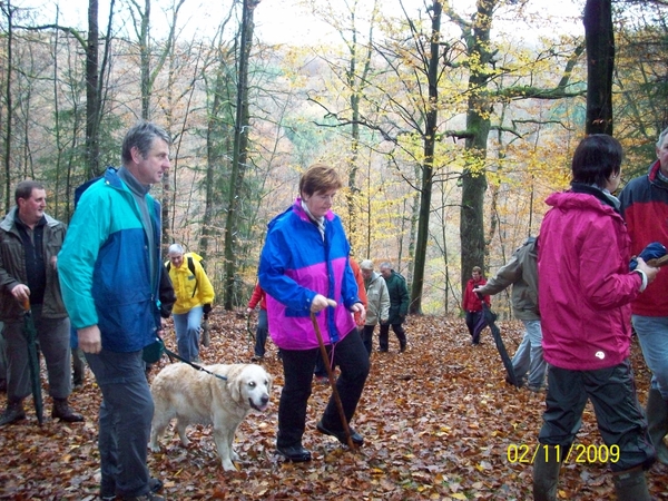 Verbrande bos Herfst2009 (3)