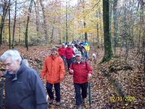 Verbrande bos Herfst2009 (5)