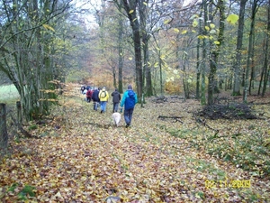 Verbrande bos Herfst2009 (6)