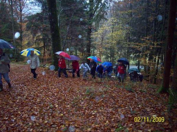 Verbrande bos Herfst2009