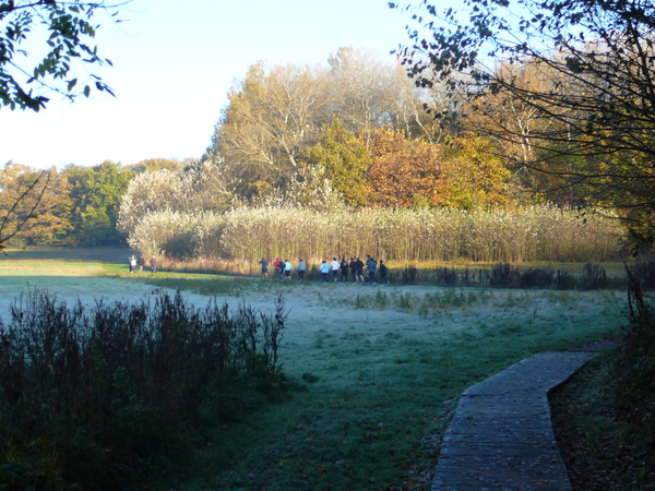 Joggers en wandelaars in overvloed