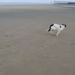 DSC06191