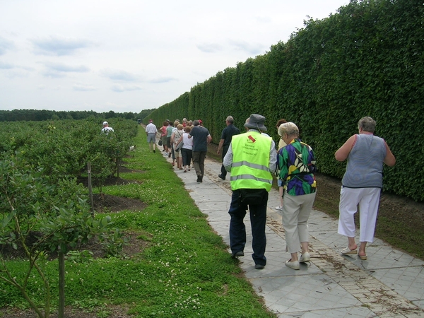 blauwe bessenplantage-gruitrode 069