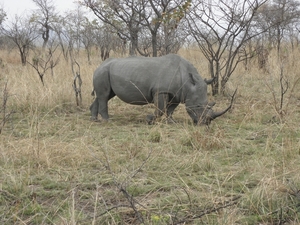 P9090049