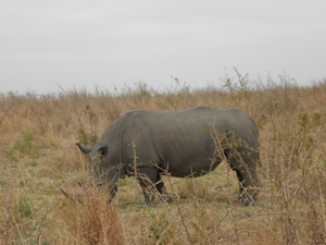 P9090065