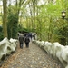 efteling 041