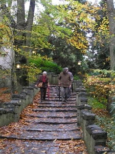 efteling D 008