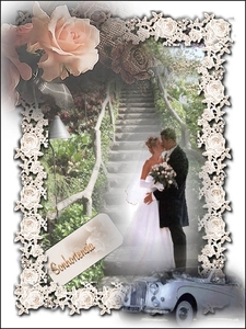 Sonhortensia