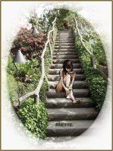 miette