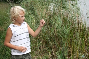 20090902 Kindervakantiewerk Vissen (9)