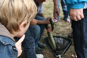 20090902 Kindervakantiewerk Vissen (21)