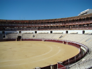 Arena