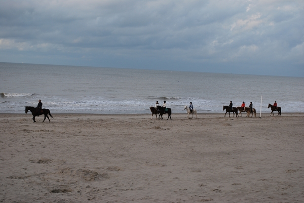 2009-11-06 Westende D2 (13)