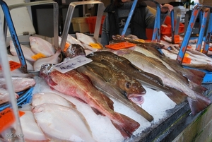 2009-11-06 Oostende D2 (28)