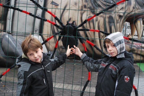 2009-11-06 Oostende D2 (4)