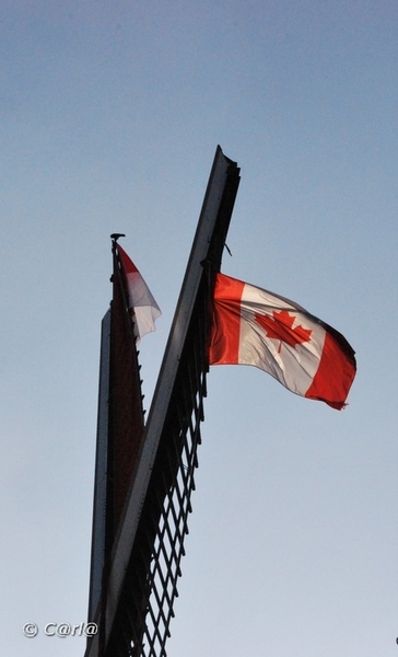 2009-11-08 WESTENDE Duinbergen (100)