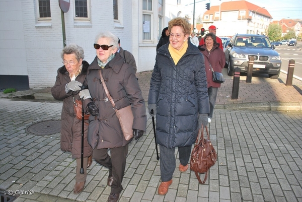 2009-11-08 WESTENDE Duinbergen (12)