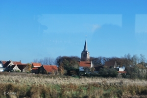 2009-11-08 WESTENDE Duinbergen (20)