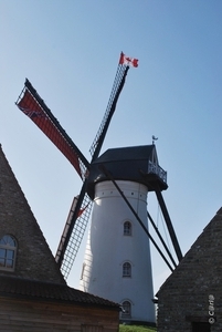 2009-11-08 WESTENDE Duinbergen (23)