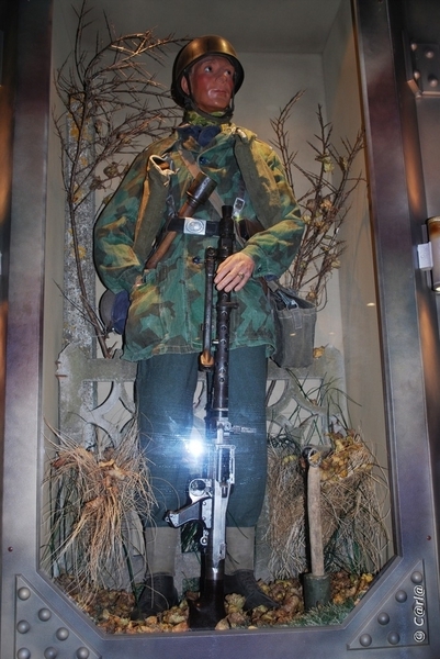 2009-11-08 WESTENDE Duinbergen (62)